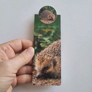 Cardmarks Hedgehog Wild Animals Info Magnetic Magnet UK Company If #2408 Y2k 00s